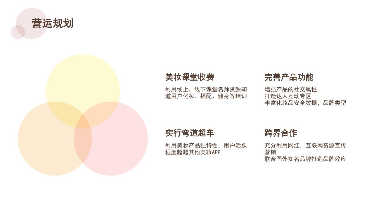 美妆社交电商商业计划书-undefined