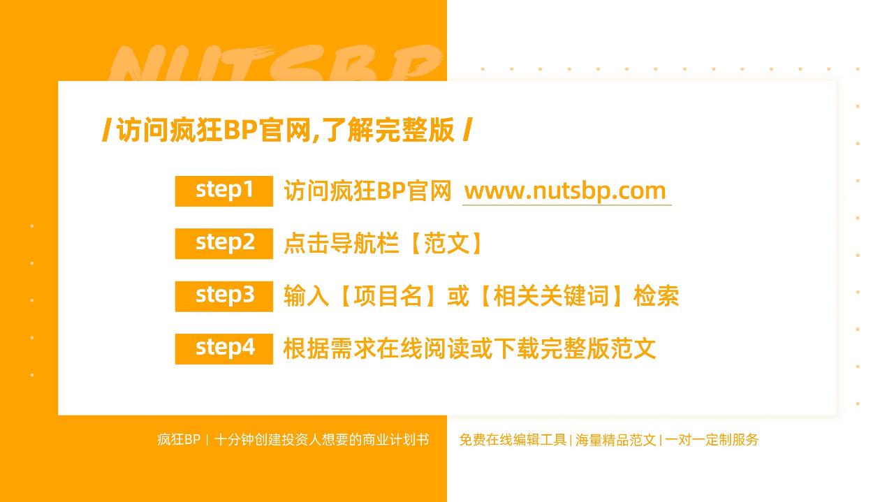 00后娱乐社交商业计划书-undefined