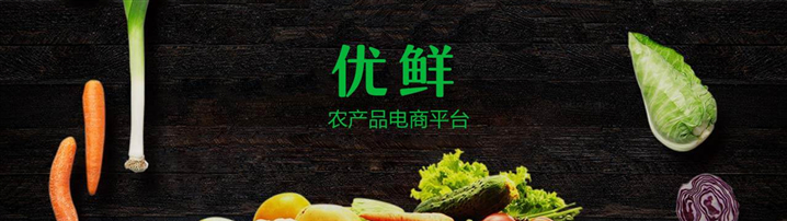 互联网+农业商业计划书范文