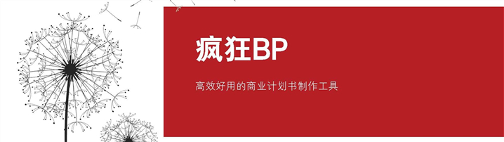 红白简约通用商业计划书模板