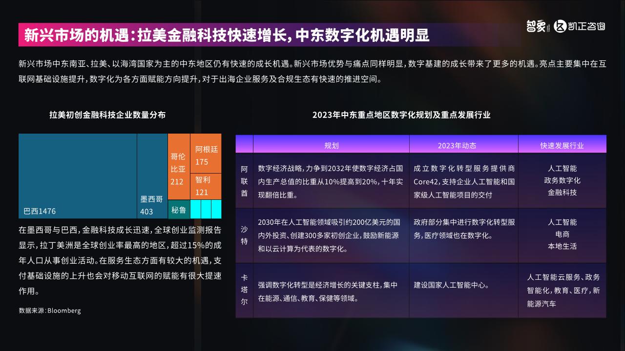 2024中国新科技出海报告-undefined