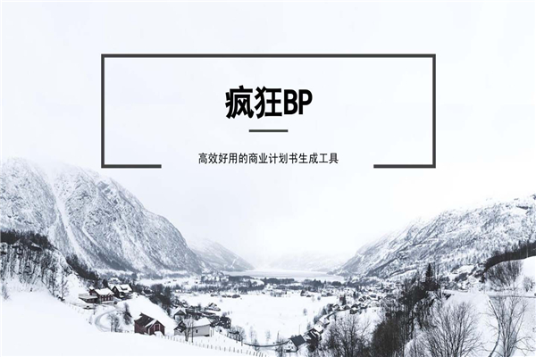 精品通用商业计划书模板